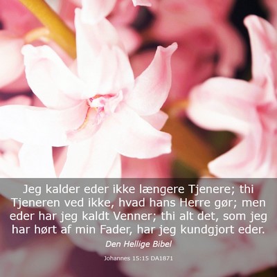 Picture 03 - Johannes 15:15 DA1871 - Jeg kalder eder ikke længere Tjenere; thi - Bible Verse Picture