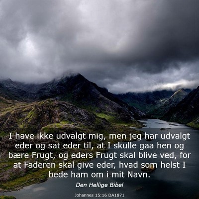 Picture 03 - Johannes 15:16 DA1871 - I have ikke udvalgt mig, men jeg har udvalgt eder - Bible Verse Picture