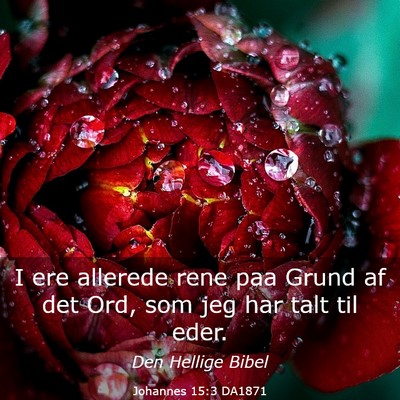 Picture 03 - Johannes 15:3 DA1871 - I ere allerede rene paa Grund af det Ord, som jeg - Bible Verse Picture