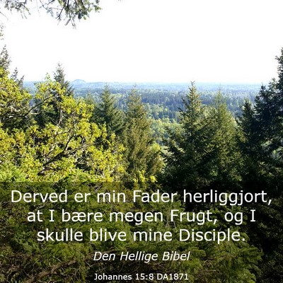 Picture 03 - Johannes 15:8 DA1871 - Derved er min Fader herliggjort, at I bære megen - Bible Verse Picture