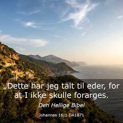 Picture 03 - Johannes 16:1 DA1871 - „Dette har jeg talt til eder, for at I ikke - Bible Verse Picture