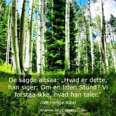 Picture 03 - Johannes 16:18 DA1871 - De sagde altsaa: „Hvad er dette, han siger: Om - Bible Verse Picture