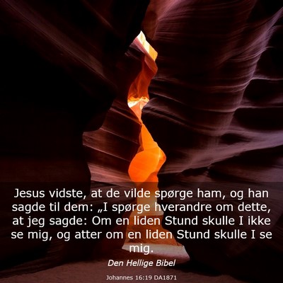 Picture 03 - Johannes 16:19 DA1871 - Jesus vidste, at de vilde spørge ham, og han - Bible Verse Picture