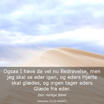 Picture 03 - Johannes 16:22 DA1871 - Ogsaa I have da vel nu Bedrøvelse, men jeg skal - Bible Verse Picture
