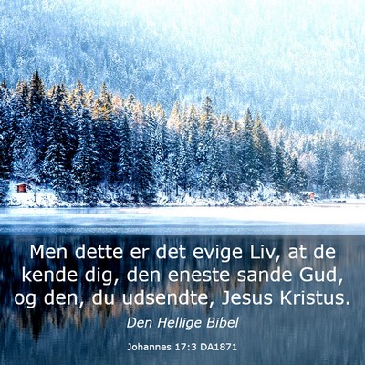 Picture 03 - Johannes 17:3 DA1871 - Men dette er det evige Liv, at de kende dig, den - Bible Verse Picture