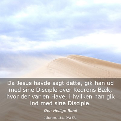 Picture 03 - Johannes 18:1 DA1871 - Da Jesus havde sagt dette, gik han ud med sine - Bible Verse Picture