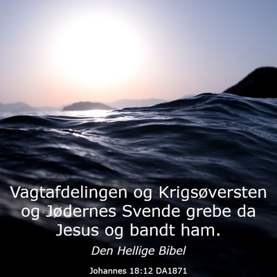Picture 03 - Johannes 18:12 DA1871 - Vagtafdelingen og Krigsøversten og Jødernes - Bible Verse Picture