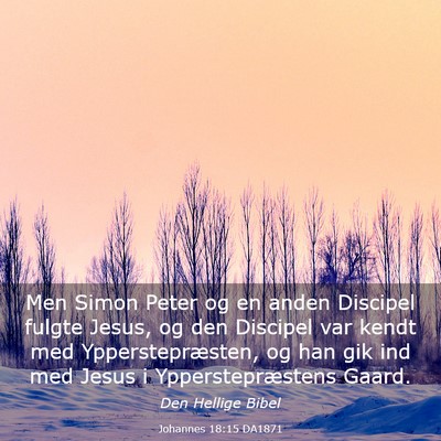 Picture 03 - Johannes 18:15 DA1871 - Men Simon Peter og en anden Discipel fulgte - Bible Verse Picture