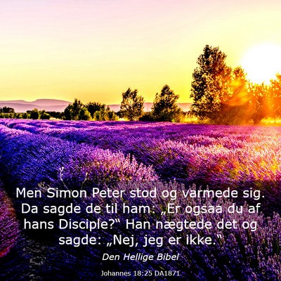 Picture 03 - Johannes 18:25 DA1871 - Men Simon Peter stod og varmede sig. Da sagde de - Bible Verse Picture
