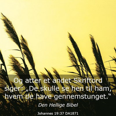 Picture 03 - Johannes 19:37 DA1871 - Og atter et andet Skriftord siger: „De skulle - Bible Verse Picture