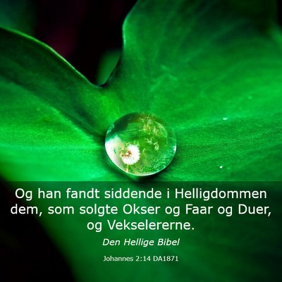 Picture 03 - Johannes 2:14 DA1871 - Og han fandt siddende i Helligdommen dem, som - Bible Verse Picture