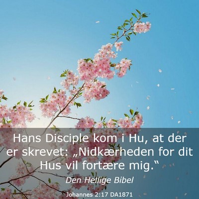 Picture 03 - Johannes 2:17 DA1871 - Hans Disciple kom i Hu, at der er skrevet: - Bible Verse Picture