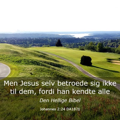 Picture 03 - Johannes 2:24 DA1871 - Men Jesus selv betroede sig ikke til dem, fordi - Bible Verse Picture