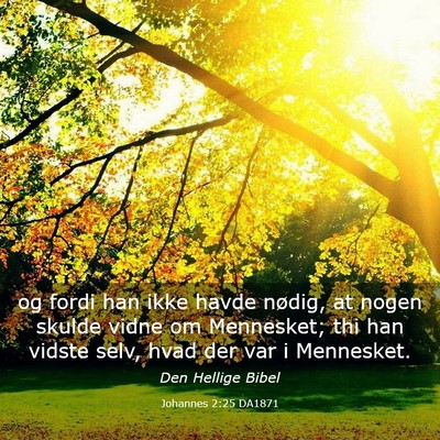 Picture 03 - Johannes 2:25 DA1871 - og fordi han ikke havde nødig, at nogen skulde - Bible Verse Picture