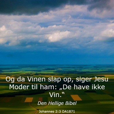 Picture 03 - Johannes 2:3 DA1871 - Og da Vinen slap op, siger Jesu Moder til ham: - Bible Verse Picture