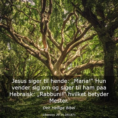 Picture 03 - Johannes 20:16 DA1871 - Jesus siger til hende: „Maria!“ Hun vender - Bible Verse Picture