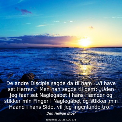 Picture 03 - Johannes 20:25 DA1871 - De andre Disciple sagde da til ham: „Vi have - Bible Verse Picture