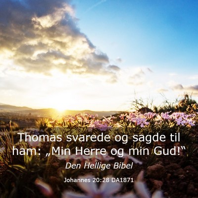 Picture 03 - Johannes 20:28 DA1871 - Thomas svarede og sagde til ham: „Min Herre og - Bible Verse Picture