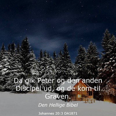 Picture 03 - Johannes 20:3 DA1871 - Da gik Peter og den anden Discipel ud, og de kom - Bible Verse Picture