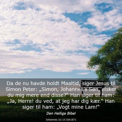 Picture 03 - Johannes 21:15 DA1871 - Da de nu havde holdt Maaltid, siger Jesus til - Bible Verse Picture