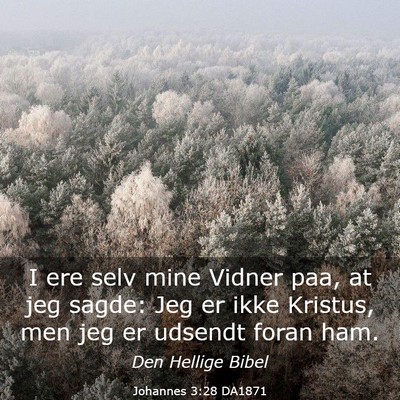 Picture 03 - Johannes 3:28 DA1871 - I ere selv mine Vidner paa, at jeg sagde: Jeg er - Bible Verse Picture