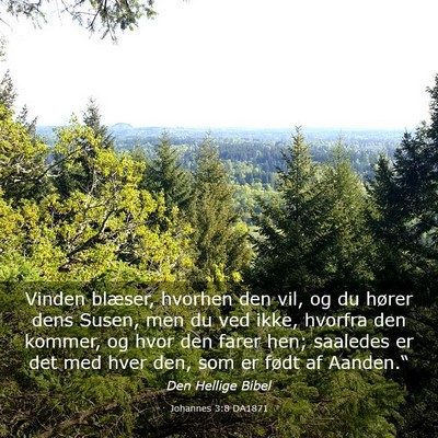 Picture 03 - Johannes 3:8 DA1871 - Vinden blæser, hvorhen den vil, og du hører - Bible Verse Picture