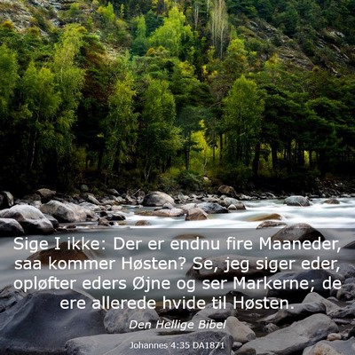 Picture 03 - Johannes 4:35 DA1871 - Sige I ikke: Der er endnu fire Maaneder, saa - Bible Verse Picture