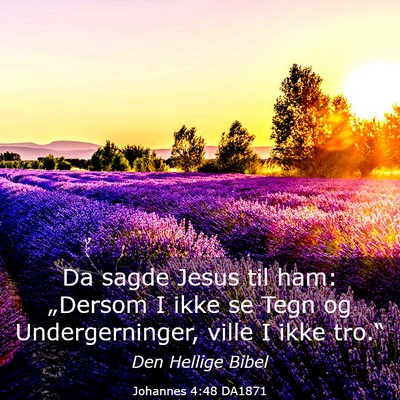Picture 03 - Johannes 4:48 DA1871 - Da sagde Jesus til ham: „Dersom I ikke se Tegn - Bible Verse Picture