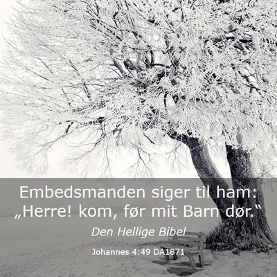 Picture 03 - Johannes 4:49 DA1871 - Embedsmanden siger til ham: „Herre! kom, før - Bible Verse Picture