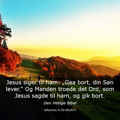 Picture 03 - Johannes 4:50 DA1871 - Jesus siger til ham: „Gaa bort, din Søn - Bible Verse Picture