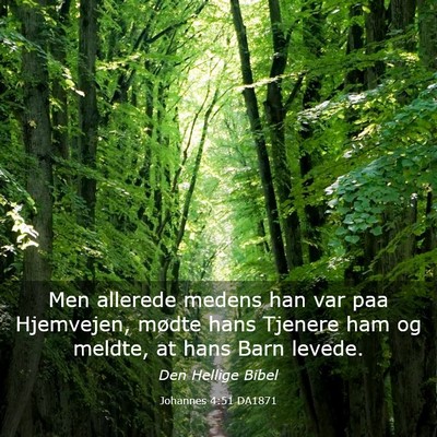 Picture 03 - Johannes 4:51 DA1871 - Men allerede medens han var paa Hjemvejen, mødte - Bible Verse Picture