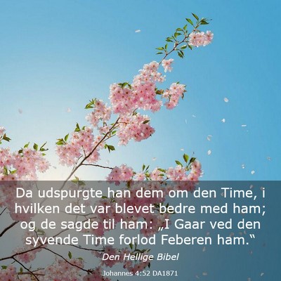 Picture 03 - Johannes 4:52 DA1871 - Da udspurgte han dem om den Time, i hvilken det - Bible Verse Picture