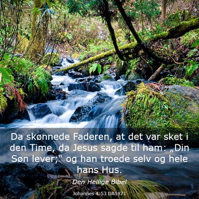 Picture 03 - Johannes 4:53 DA1871 - Da skønnede Faderen, at det var sket i den Time, - Bible Verse Picture