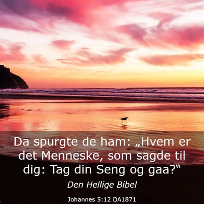 Picture 03 - Johannes 5:12 DA1871 - Da spurgte de ham: „Hvem er det Menneske, som - Bible Verse Picture