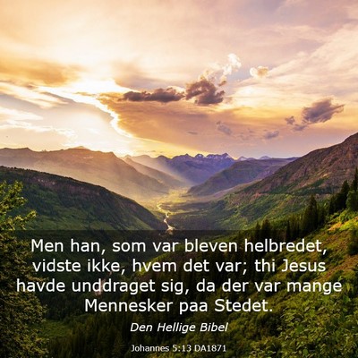 Picture 03 - Johannes 5:13 DA1871 - Men han, som var bleven helbredet, vidste ikke, - Bible Verse Picture