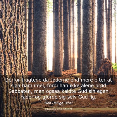 Picture 03 - Johannes 5:18 DA1871 - Derfor tragtede da Jøderne end mere efter at - Bible Verse Picture