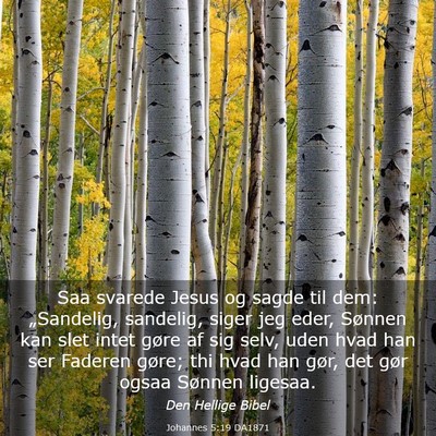 Picture 03 - Johannes 5:19 DA1871 - Saa svarede Jesus og sagde til dem: „Sandelig, - Bible Verse Picture