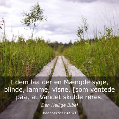 Picture 03 - Johannes 5:3 DA1871 - I dem laa der en Mængde syge, blinde, lamme, - Bible Verse Picture