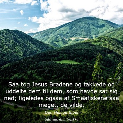 Picture 03 - Johannes 6:11 DA1871 - Saa tog Jesus Brødene og takkede og uddelte dem - Bible Verse Picture