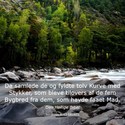 Picture 03 - Johannes 6:13 DA1871 - Da samlede de og fyldte tolv Kurve med Stykker, - Bible Verse Picture