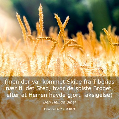 Picture 03 - Johannes 6:23 DA1871 - (men der var kommet Skibe fra Tiberias nær til - Bible Verse Picture