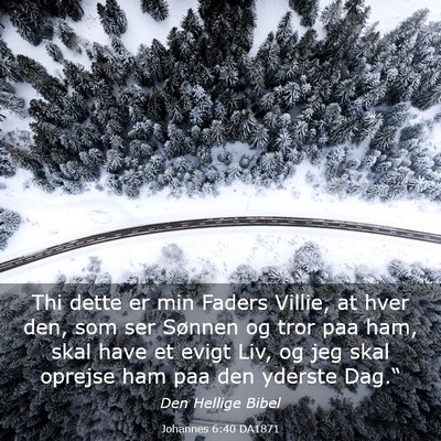 Picture 03 - Johannes 6:40 DA1871 - Thi dette er min Faders Villie, at hver den, som - Bible Verse Picture