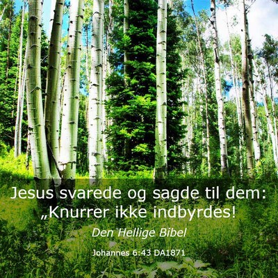 Picture 03 - Johannes 6:43 DA1871 - Jesus svarede og sagde til dem: „Knurrer ikke - Bible Verse Picture