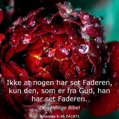 Picture 03 - Johannes 6:46 DA1871 - Ikke at nogen har set Faderen, kun den, som er - Bible Verse Picture