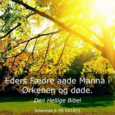 Picture 03 - Johannes 6:49 DA1871 - Eders Fædre aade Manna i Ørkenen og - Bible Verse Picture