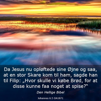 Picture 03 - Johannes 6:5 DA1871 - Da Jesus nu opløftede sine Øjne og saa, at en - Bible Verse Picture