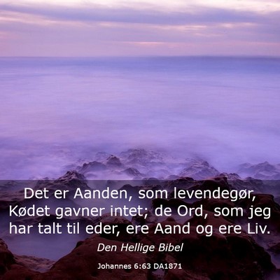 Picture 03 - Johannes 6:63 DA1871 - Det er Aanden, som levendegør, Kødet gavner - Bible Verse Picture
