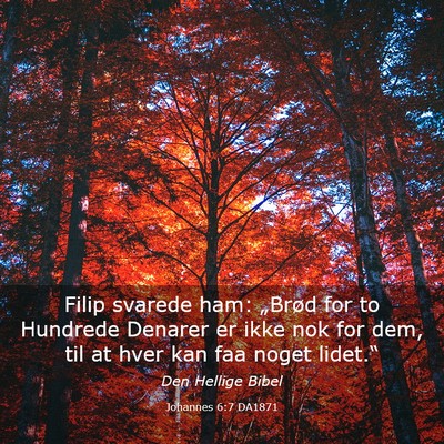 Picture 03 - Johannes 6:7 DA1871 - Filip svarede ham: „Brød for to Hundrede - Bible Verse Picture