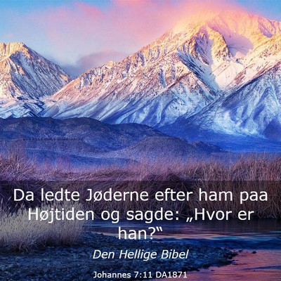 Picture 03 - Johannes 7:11 DA1871 - Da ledte Jøderne efter ham paa Højtiden og - Bible Verse Picture