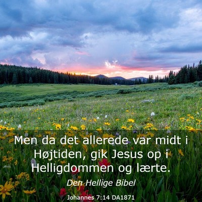 Picture 03 - Johannes 7:14 DA1871 - Men da det allerede var midt i Højtiden, gik - Bible Verse Picture